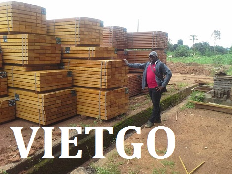 Gỗ teak/căm xe xẻ Vietgo